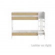 Medium height bunk bed with front ladder